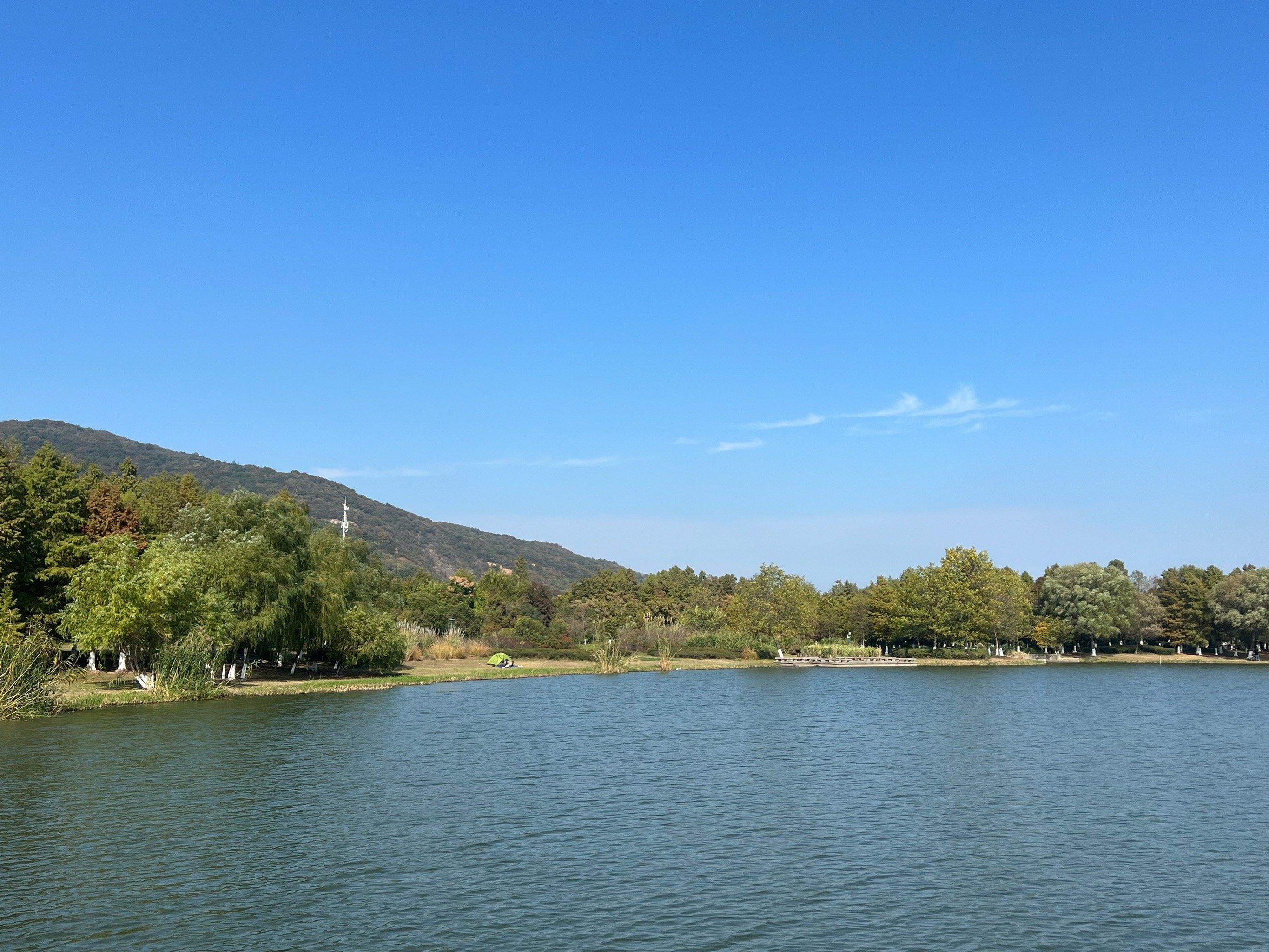 遛娃好去处之长广溪湿地公园
