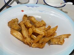 -港升鱼师傅·中山脆肉鲩