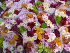 -循礼门鲜花花市(武汉循礼门店)