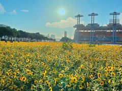 -海心沙亚运公园