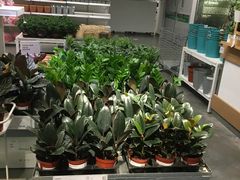 -宜家家居(哈尔滨商场店)