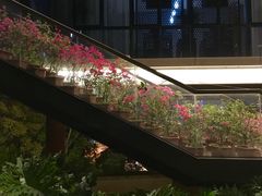 -金鸡山公园