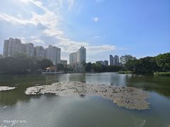 -荔湾湖公园