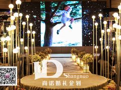 荧光裸色——尚诺婚礼企划-武汉马哥孛罗酒店