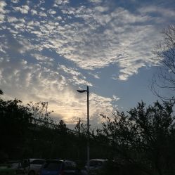 点击看大图 -凡碧诗毛孔清洁收细