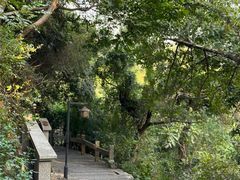 -草庵摩尼教遗址公园