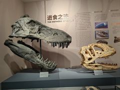 -自贡恐龙博物馆