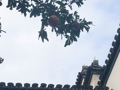 -南京市民俗博物馆(甘熙故居)