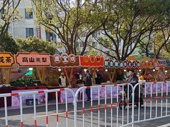 -高东镇樱花园
