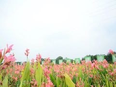 -那考河湿地公园