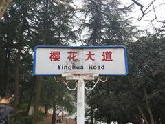 -武汉大学-樱园