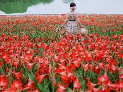 -深圳国际园林花卉博览园