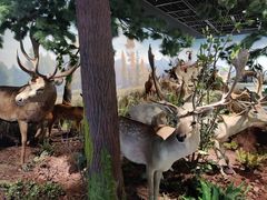 -陕西自然博物馆