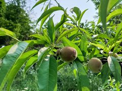 -桤木河湿地公园