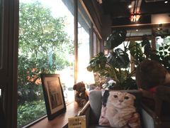 -咖法森林·咖啡  酒吧(天河店)