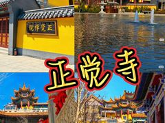 -淄博花灯齐彩城