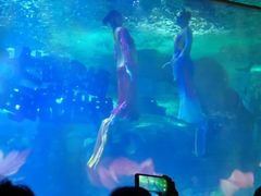 -大明湖海底世界
