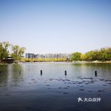 太久不动了，可着整个公园溜达了一大圈