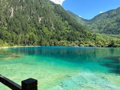 -九寨沟-树正沟