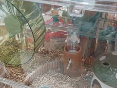 -FAELING PETS美天灵宠物(合生汇店)