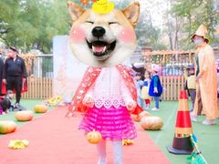 -MUFFY'S博识梦飞幼儿园(万柳园)