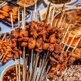 🔥值得N刷‼️十年不涨价的特色烤肉🥩‼️爱了[亲亲]