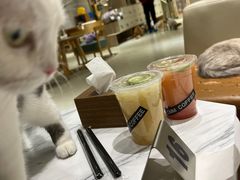 -藏猫猫咖啡主题馆(中央大道店)
