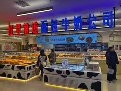 -红星前进面包牛奶公司(君太店)