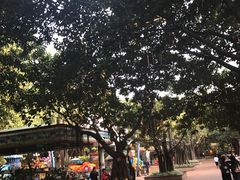 -东风公园