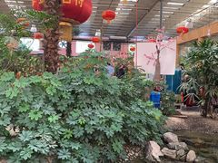 -兴芮温泉度假区