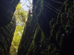 -梭布垭石林景区