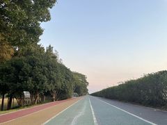 -贡湖湾湿地公园
