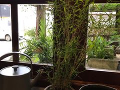 -菩提书坊(侨福大厦店)