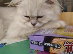 -猫爪屋猫咖(乐汇城店)
