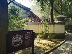 -香山公园