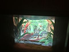 -三鹰之森吉卜力美术馆