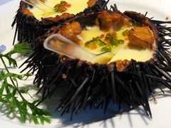 -开海·红岛海鲜虾水饺(石老人店)
