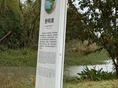 -昆山城市生态森林公园