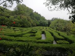-大屏嶂森林公园