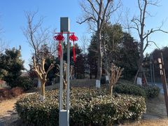 -春花秋色城市公园