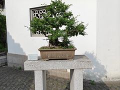 -雨花胜境