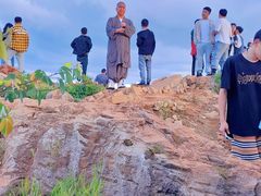 -长虫山生态公园风景林