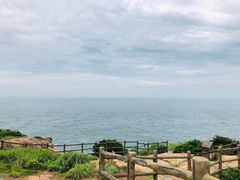 -枸杞岛