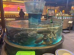 -魏铭鱼头捞饭(晋阳路店)