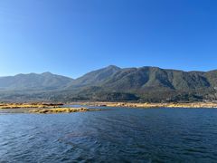 -腾冲北海湿地
