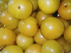 -呼吸森林·生态农庄农家乐私房菜