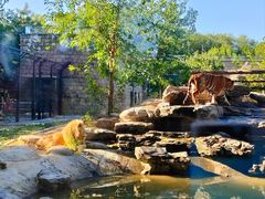 -北京野生动物园