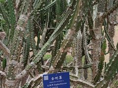 -中国科学院西双版纳热带植物园