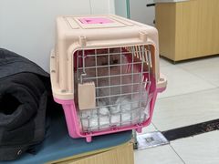 -美联众合动物医院·24h京西诊疗中心