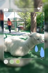 -萌宠亲子动物乐园(槐房万达店)